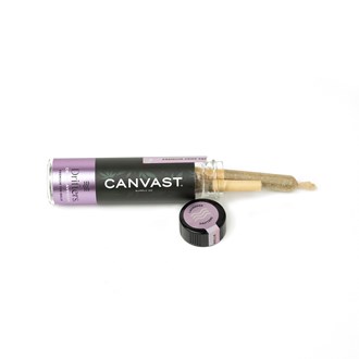 Lavender Drifters Pre-Roll Tube - (Sample)